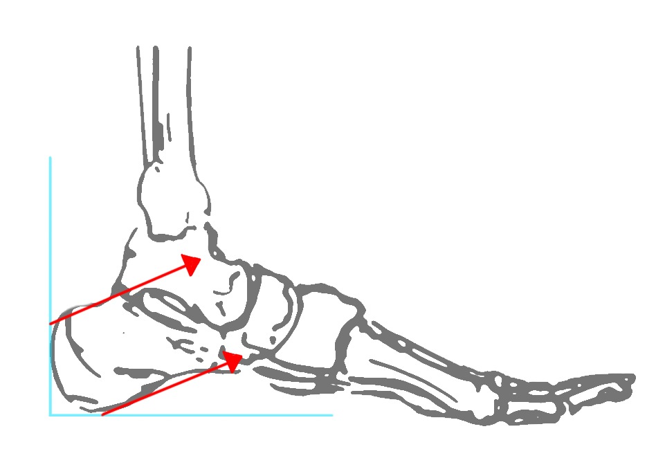 Pavlov's Lines